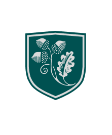 Dual diploma temoignage visuel